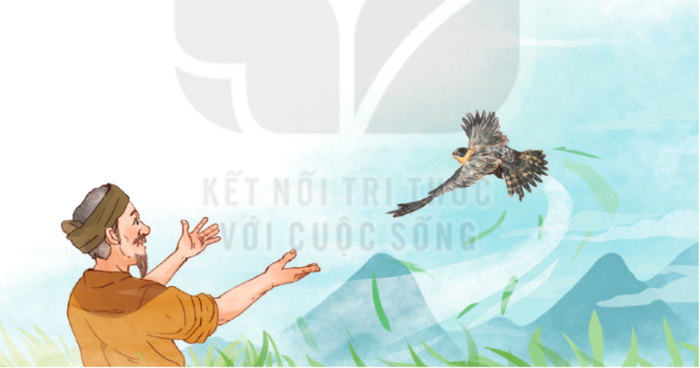 Anh Mo Ta